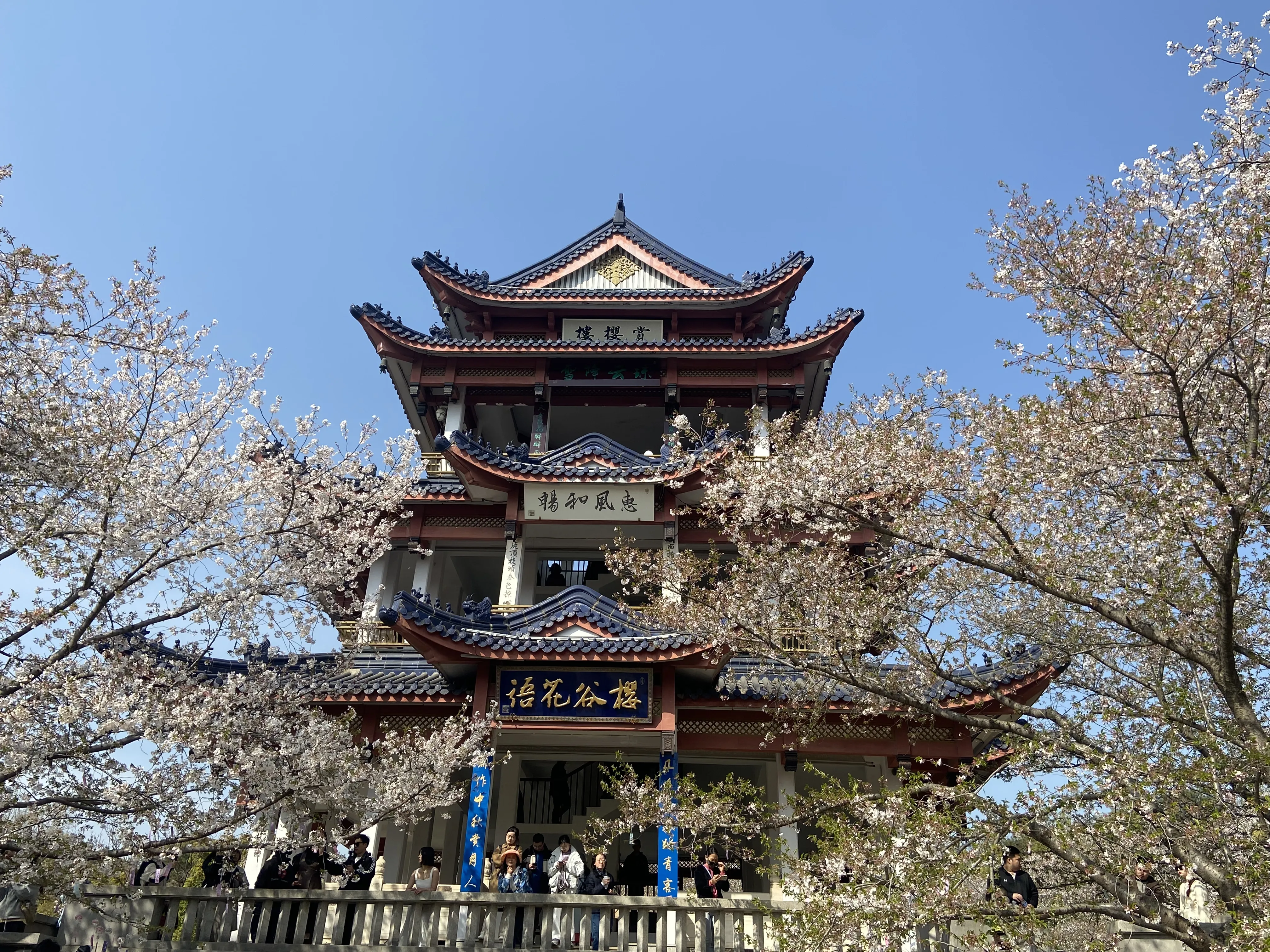 鼋头渚的赏樱楼