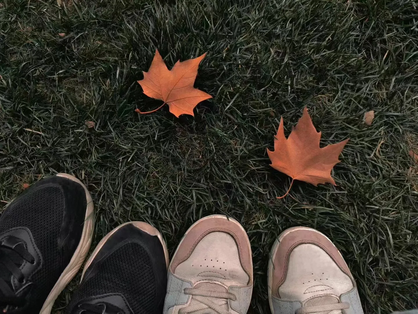 我和朋友的两双鞋与两片落叶的合影
